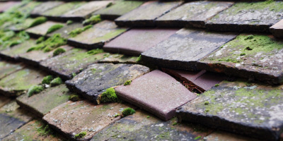 Corfton roof repair costs